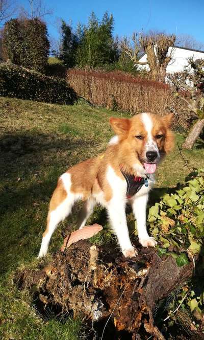 Theos Fotochallenge Nr. 3-Beitrag-Bild