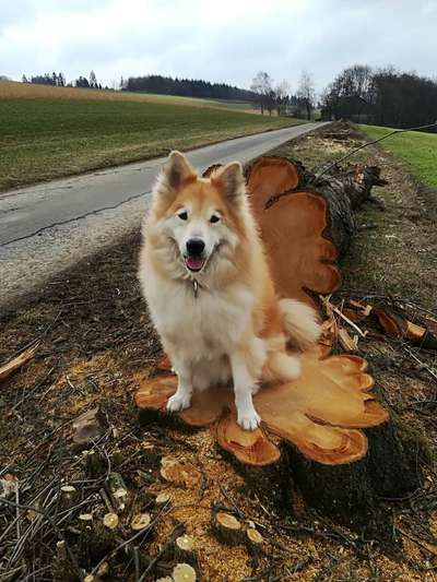 Theos Fotochallenge Nr. 3-Beitrag-Bild