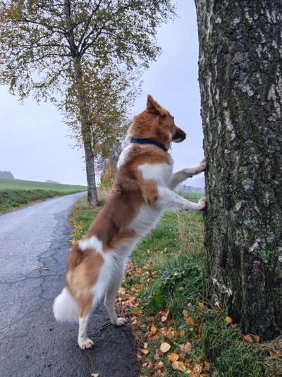 27. Handy Fotochallenge-Beitrag-Bild