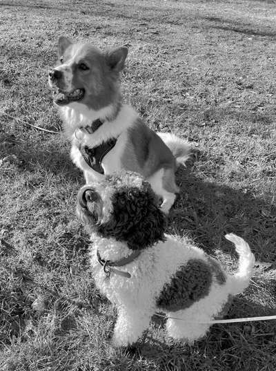 Foto-Challenge 76: Foto in Schwarz-Weiss-Beitrag-Bild