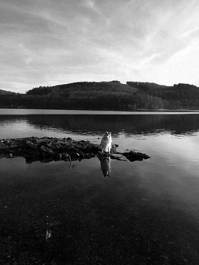 Foto-Challenge 76: Foto in Schwarz-Weiss-Beitrag-Bild
