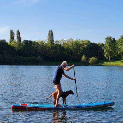 Hundetreffen-Junghundetreffen-Profilbild