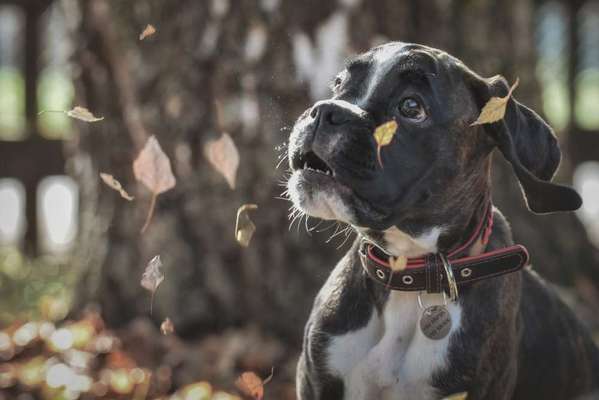 Fotochallange Nr. 57     PORTRÄT.   Beendet!!!!!!!!-Beitrag-Bild