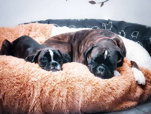 Lieblingsbild-Beitrag-Bild