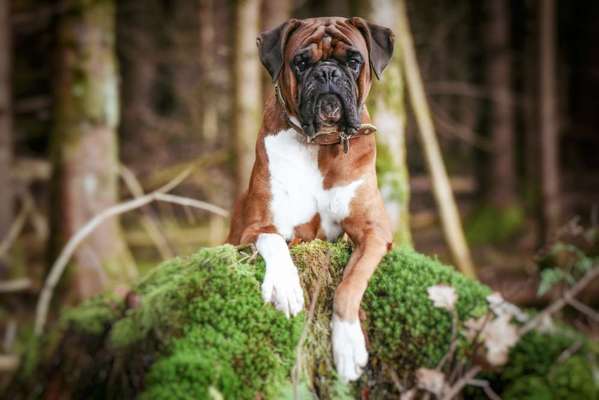 Lieblingsbild-Beitrag-Bild