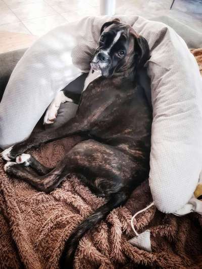 Lieblingsbild-Beitrag-Bild