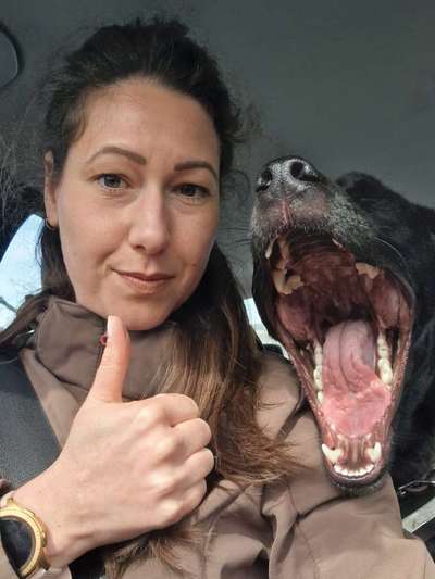 32. Collagen Challenge - eure liebsten gestellten Fotos-Beitrag-Bild