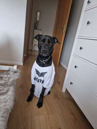 32. Collagen Challenge - eure liebsten gestellten Fotos-Beitrag-Bild