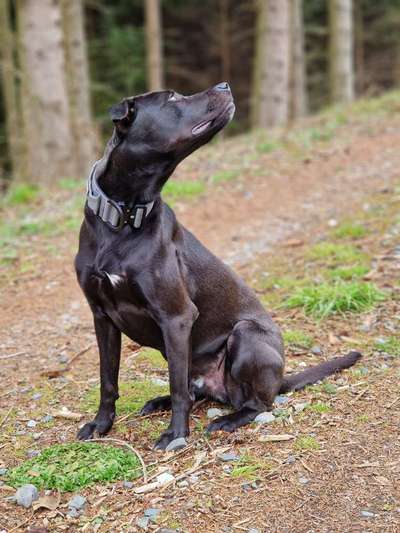 32. Collagen Challenge - eure liebsten gestellten Fotos-Beitrag-Bild