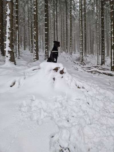 32. Collagen Challenge - eure liebsten gestellten Fotos-Beitrag-Bild