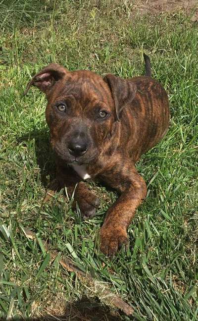 Das erste Foto-Beitrag-Bild