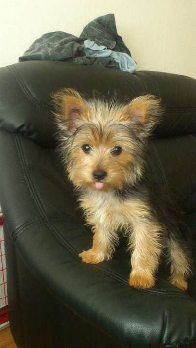 Das erste Foto-Beitrag-Bild