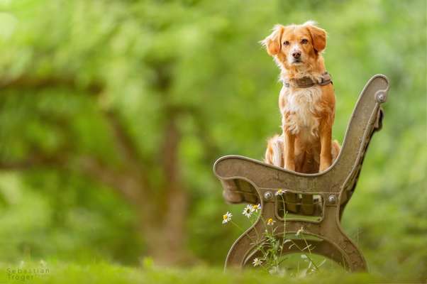 Lieblingsbild :D-Beitrag-Bild