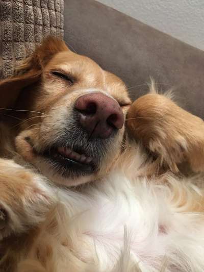 Foto Challange Nr.80-Beitrag-Bild