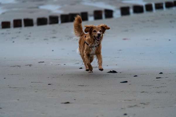 Fotowettbewerb Natur-Beitrag-Bild