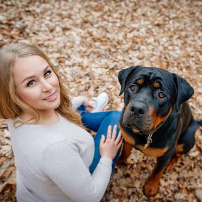 Hundetreffen-Trainings- und Gassirunde