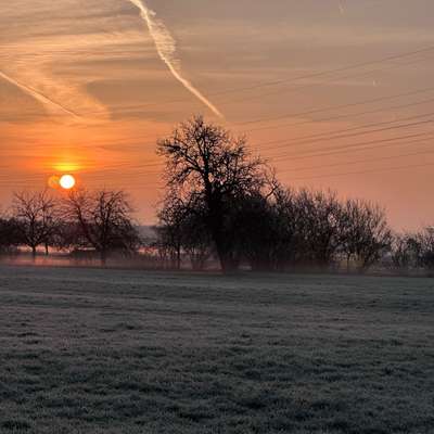 Hundetreffen-Gesucht: Souveräne(r) Hund(e) für Spaziergänge-Bild