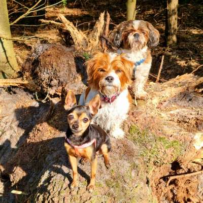 Foto Challenge Nr. 79-Beitrag-Bild