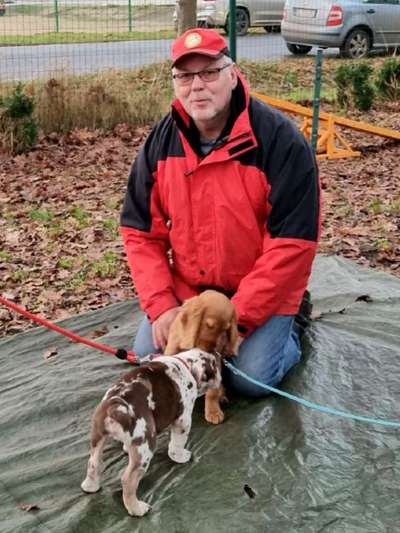 Hundeschulen-4-Pfotentreff Meppen und Umgebung e.V.-Bild