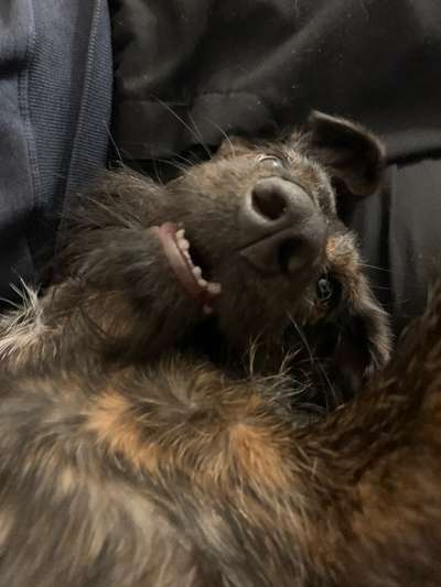 20. Handy -Foto-Callenge-Beitrag-Bild