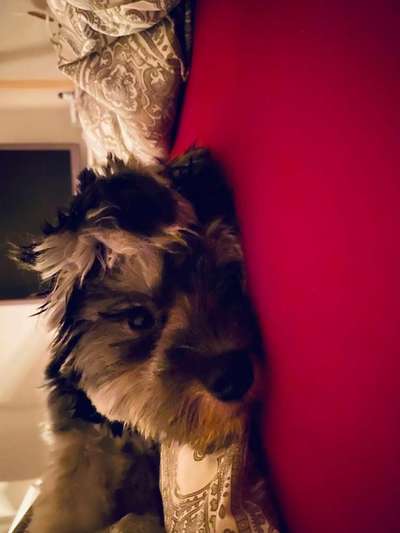 Lieblings Schnappschuss?-Beitrag-Bild