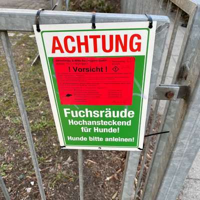 Giftköder-Rattengift  Zettel-Bild