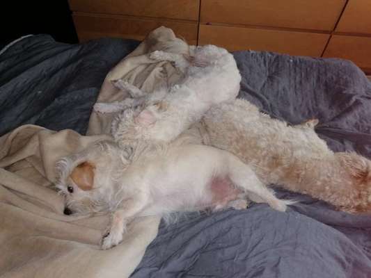 CHALLENGE NR. 34 - Liege-/Schlafpositionen-Beitrag-Bild