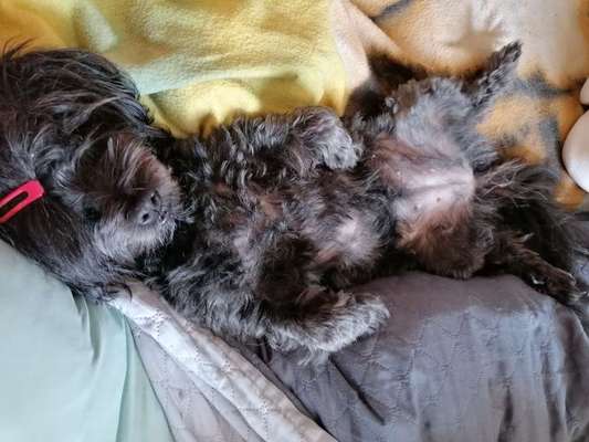 CHALLENGE NR. 34 - Liege-/Schlafpositionen-Beitrag-Bild