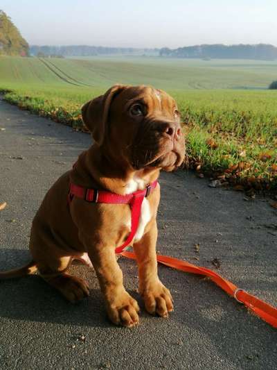 Foto Challenge 3-Beitrag-Bild