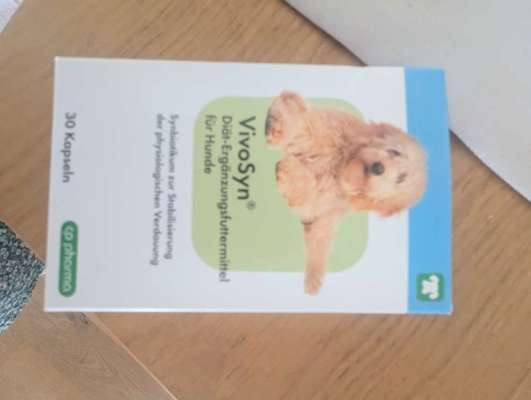 Hund hat nur Durchfall-Beitrag-Bild