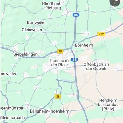Hundetreffen-Zwergentreff Südpfalz-Bild
