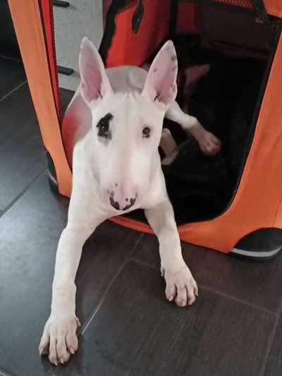 Wir sind nicht perfekt !-Beitrag-Bild