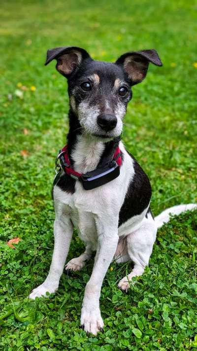 Ach, wie schnell die Zeit vergeht-Beitrag-Bild