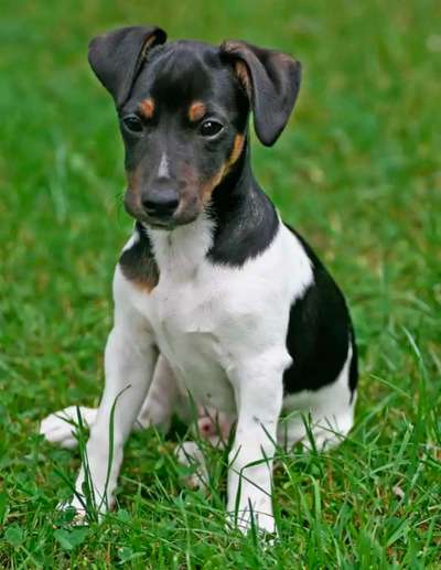 Ach, wie schnell die Zeit vergeht-Beitrag-Bild