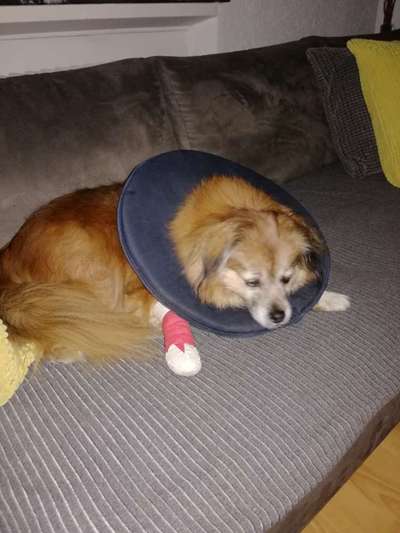 Wehwehchen einbinden-Beitrag-Bild