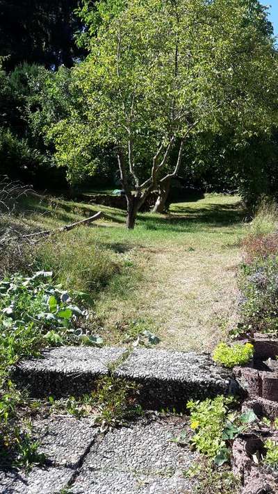 Garten-Beitrag-Bild