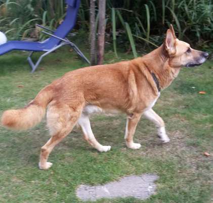 DNA Test-Beitrag-Bild