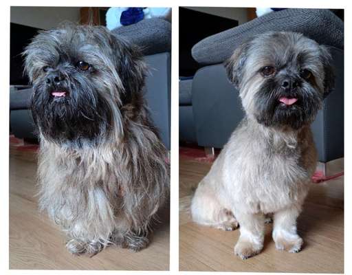 Vor dem Friseur - nach dem Friseur-Beitrag-Bild