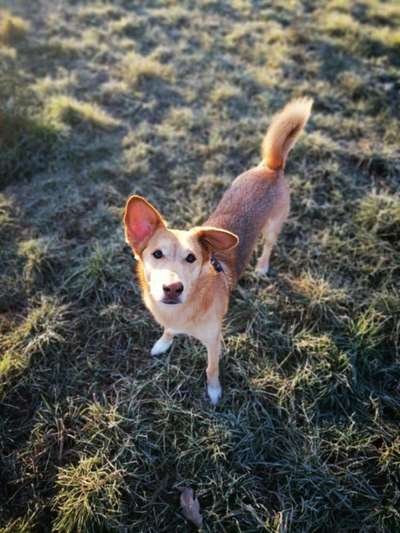 Fotochallenge No. 26                                     Wald und Wiese-Beitrag-Bild