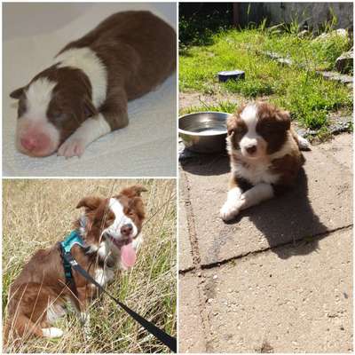 Vorher.... Nachher-Beitrag-Bild