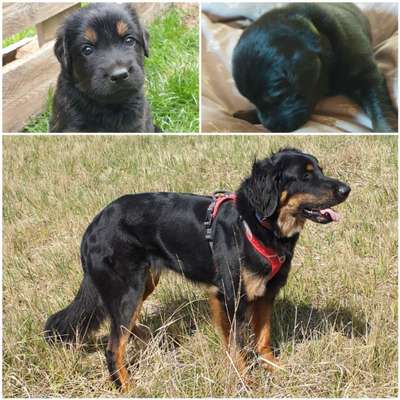 Vorher.... Nachher-Beitrag-Bild