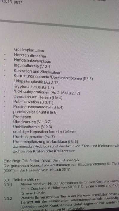 Versicherungen-Beitrag-Bild