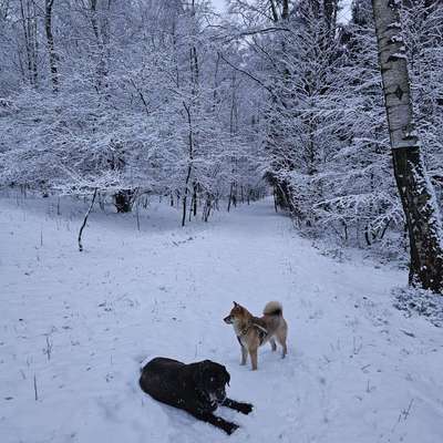 %{de_profession_title}-Tandem-Walk-Bild