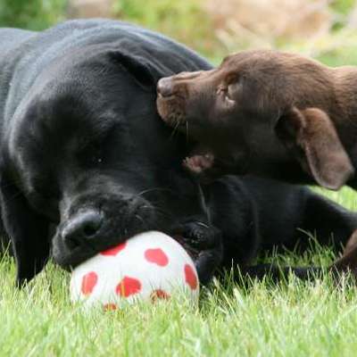 %{de_profession_title}-Begegnungstraining-Bild