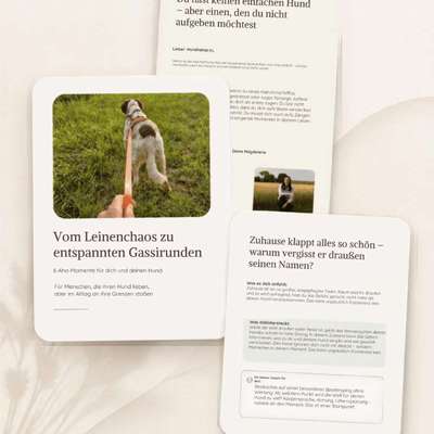 %{de_profession_title} 0€ Impulse für euren Alltag mit Hund %{location} – Dogorama