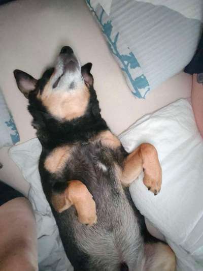 Verrückte Schlafpositionen-Beitrag-Bild