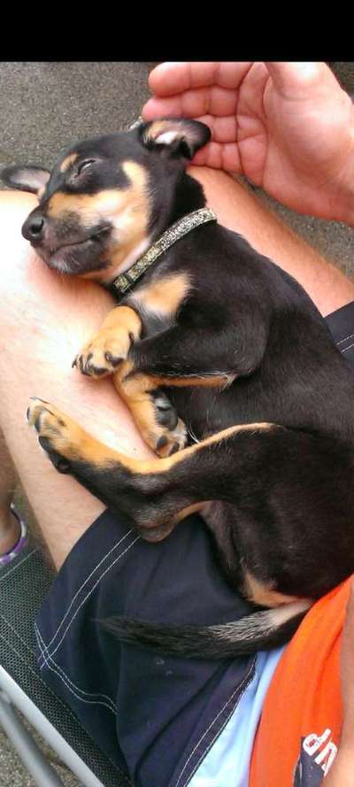 Foto Challenge 82-Beitrag-Bild