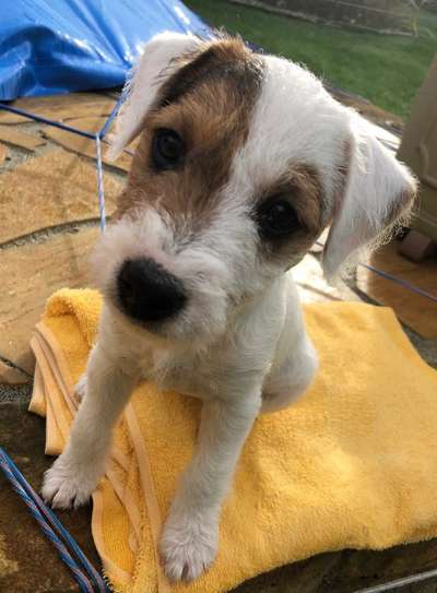 Fotochallange Nr. 57     PORTRÄT.   Beendet!!!!!!!!-Beitrag-Bild