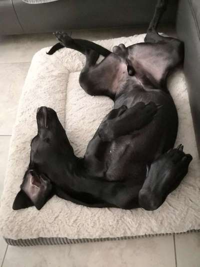 Die unbequemsten und lustigsten Schlafpositionen-Beitrag-Bild