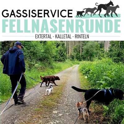 Gassi-Services-Gassi-Service Fellnasenrunde-Bild